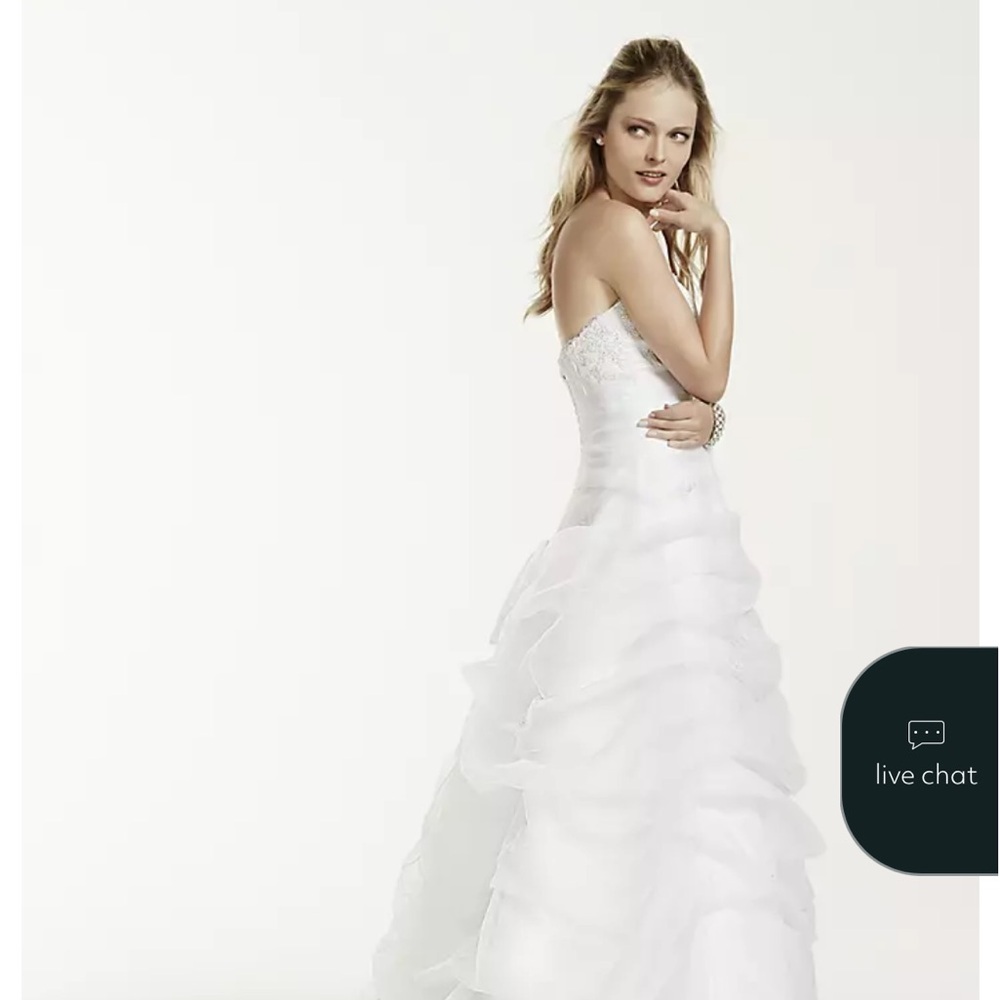 David’s bridal 9L9479 wedding gown - Picture 4 of 17